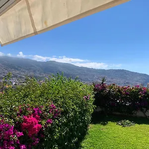 Funchal (Madeira) hotels &amp; apartments, all accommodations in Funchal (Madeira)