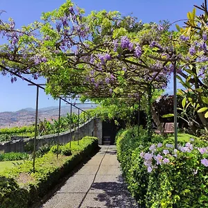 Funchal (Madeira) hotels &amp; apartments, all accommodations in Funchal (Madeira)